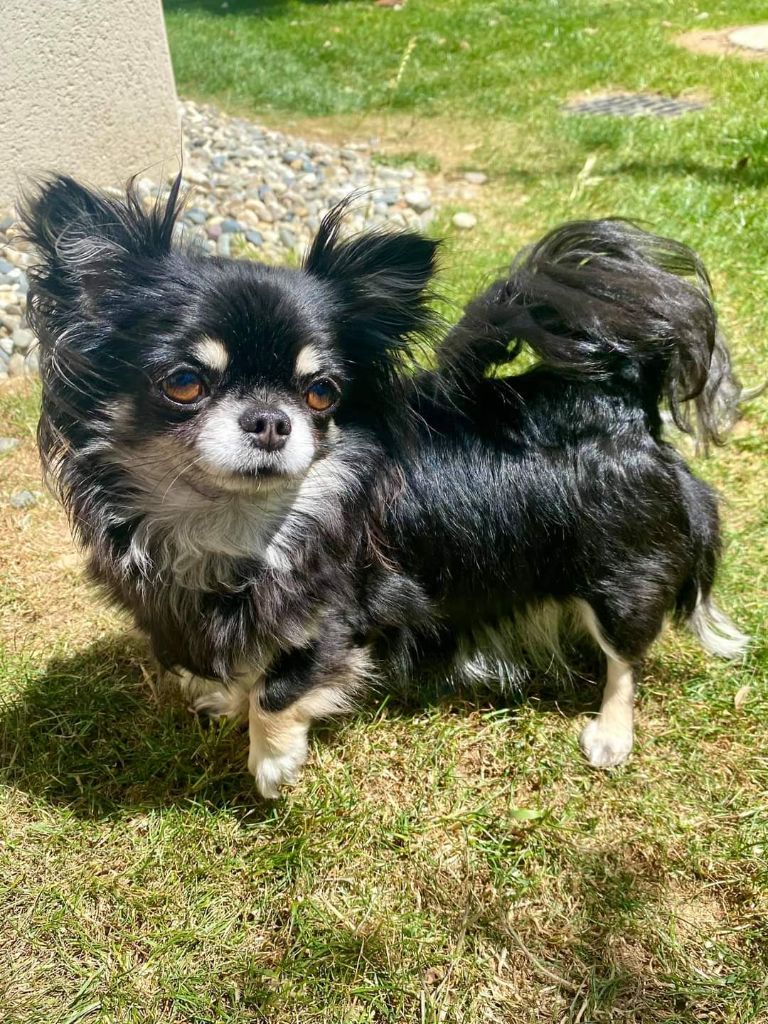 Ominha kiara By Gaidic